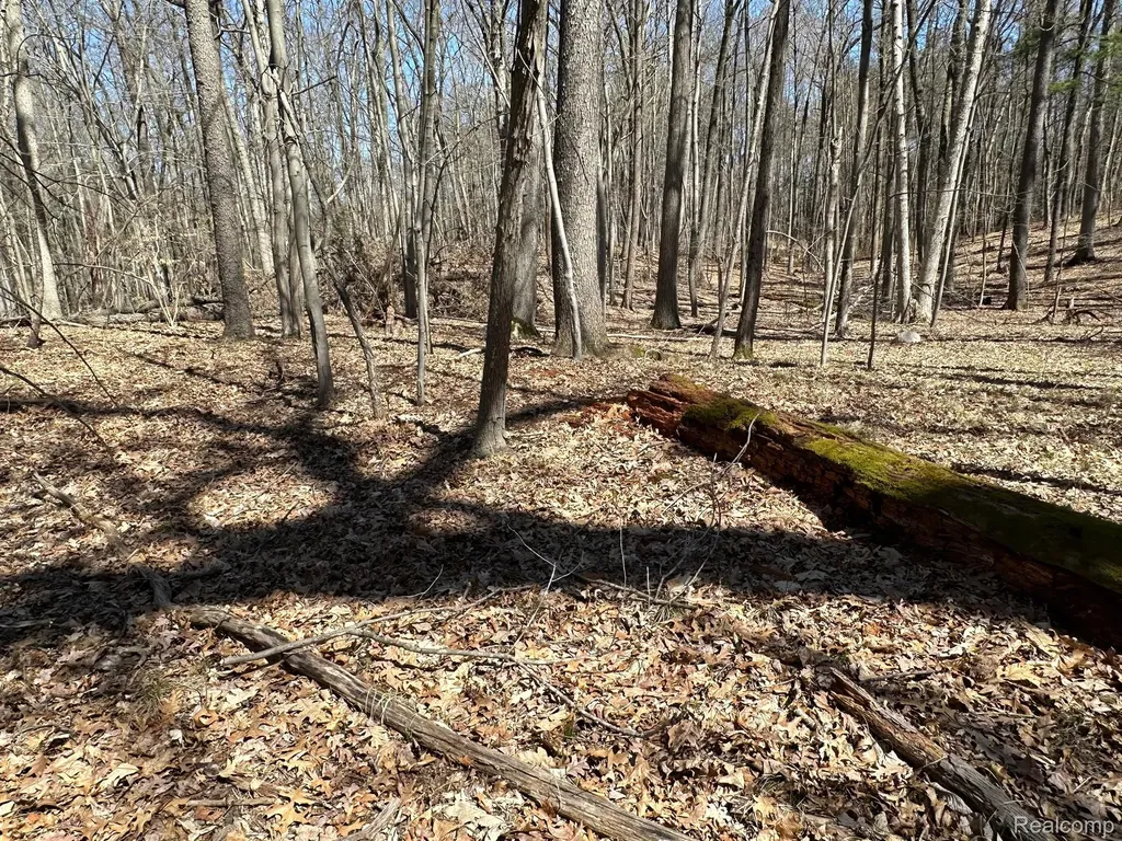 11.01 Acres Vacant Land Knights Bridge Road Addison Township MI 48367