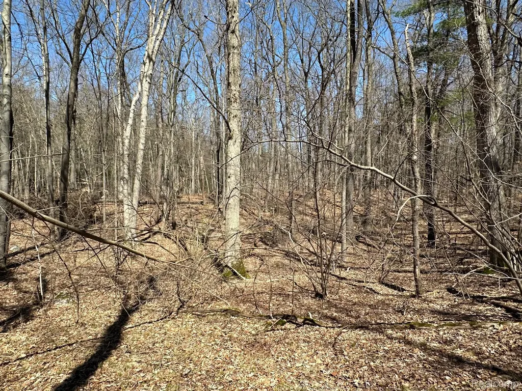 11.01 Acres Vacant Land Knights Bridge Road Addison Township MI 48367