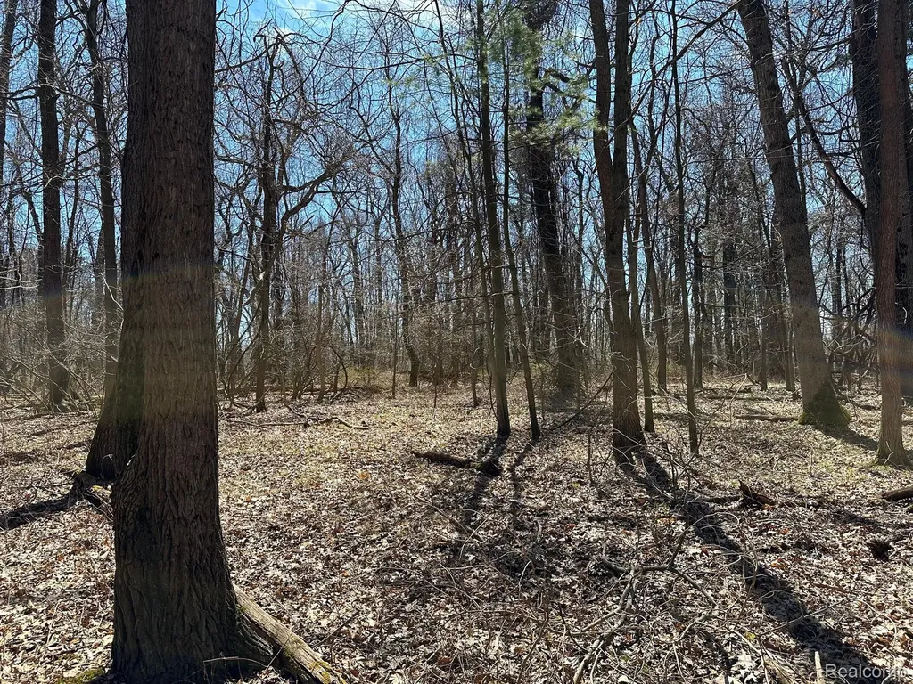 11.01 Acres Vacant Land Knights Bridge Road Addison Township MI 48367