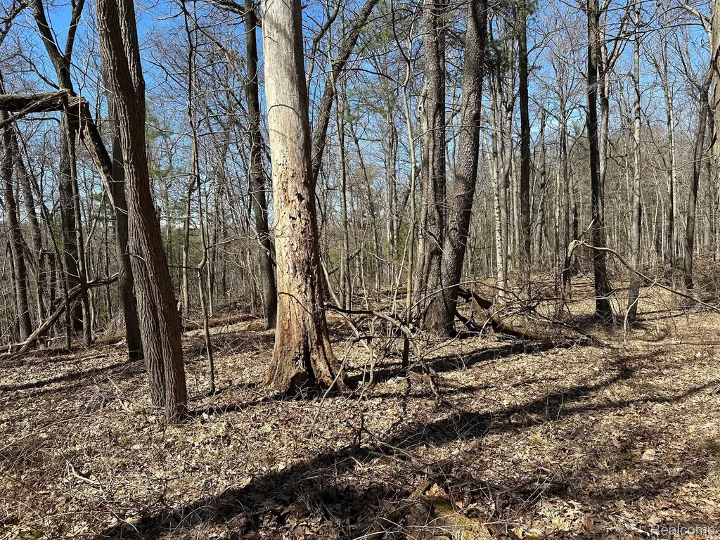 11.01 Acres Vacant Land Knights Bridge Road Addison Township MI 48367