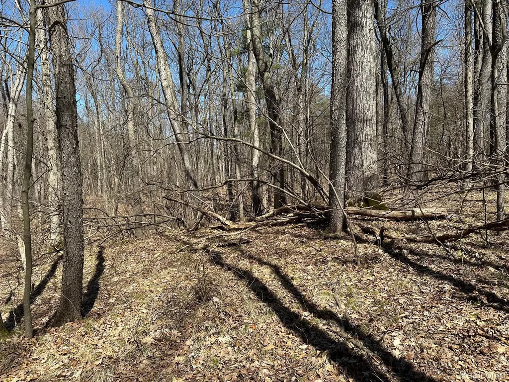 11.01 Acres Vacant Land Knights Bridge Road Addison Township MI 48367