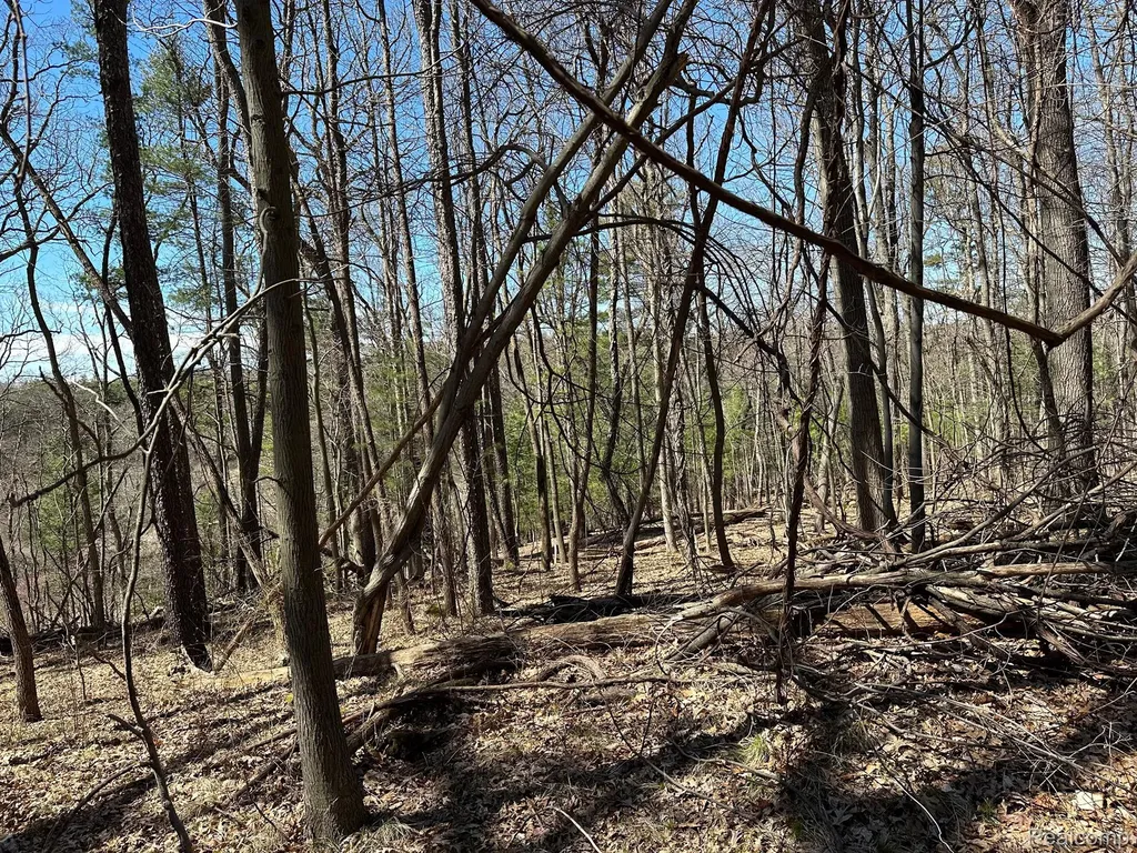 11.01 Acres Vacant Land Knights Bridge Road Addison Township MI 48367