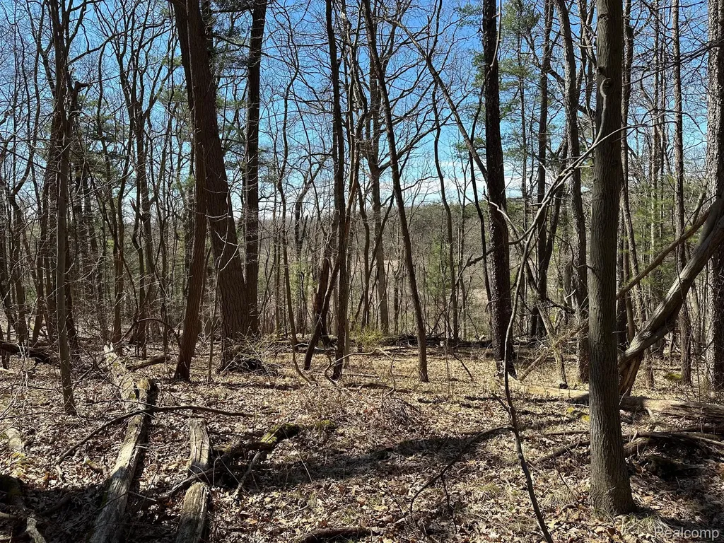 11.01 Acres Vacant Land Knights Bridge Road Addison Township MI 48367