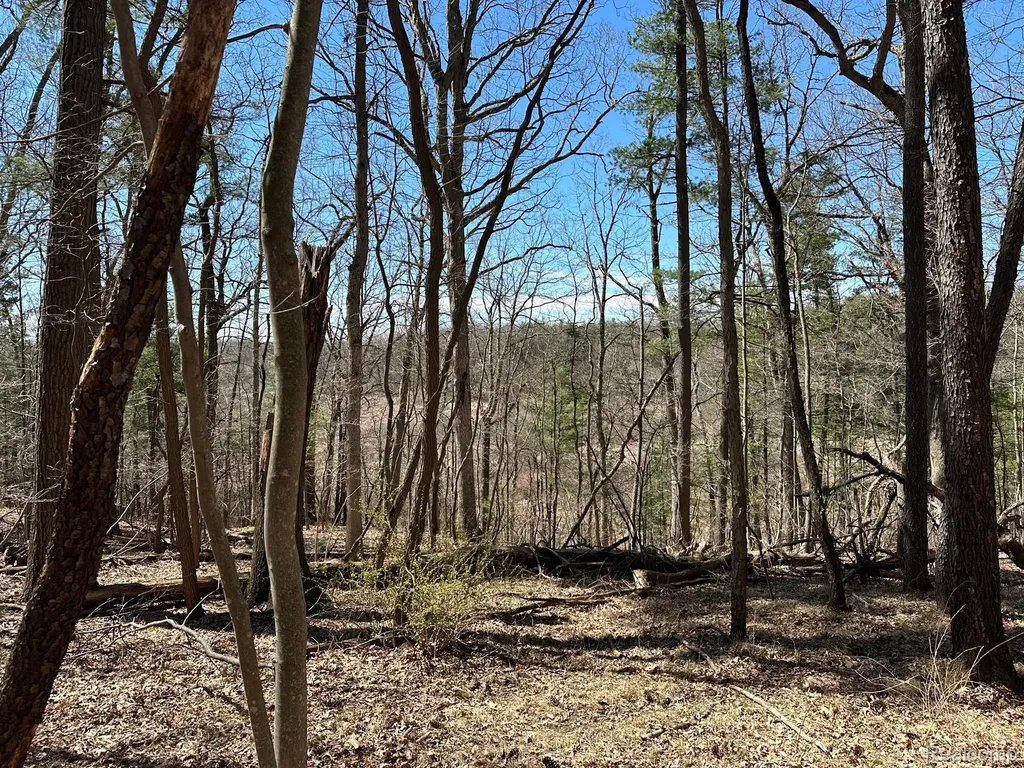 11.01 Acres Vacant Land Knights Bridge Road Addison Township MI 48367