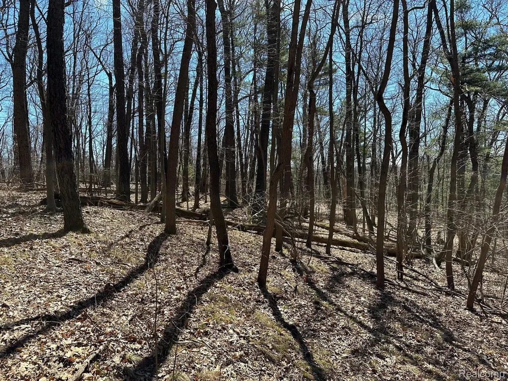 11.01 Acres Vacant Land Knights Bridge Road Addison Township MI 48367