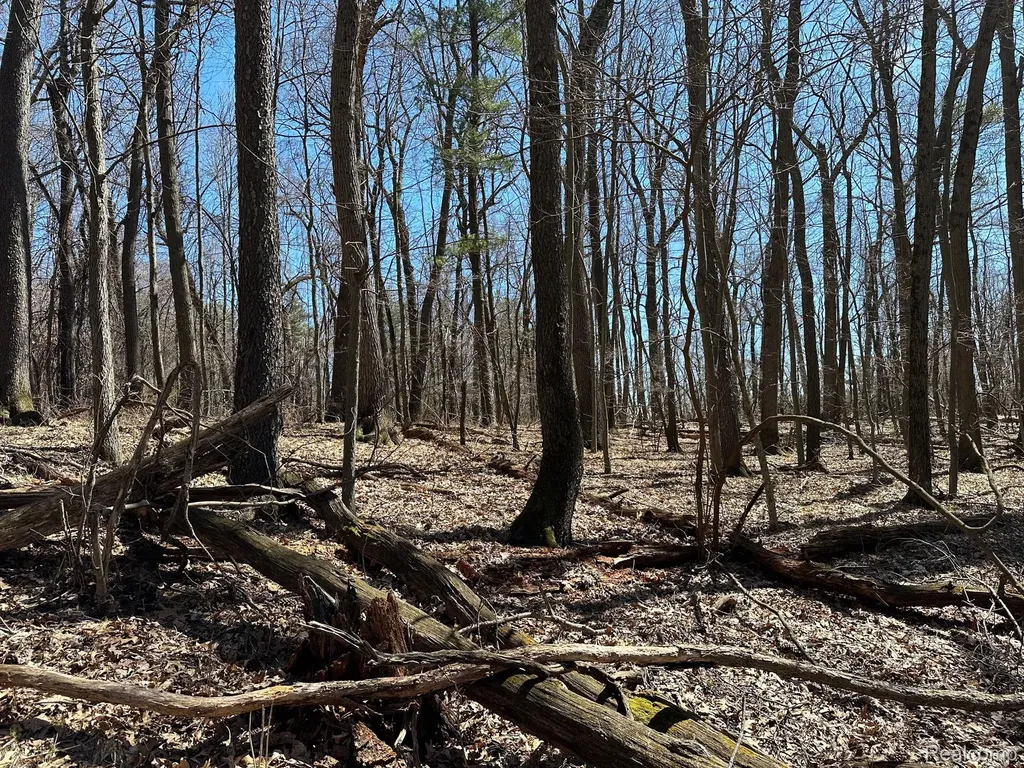 11.01 Acres Vacant Land Knights Bridge Road Addison Township MI 48367