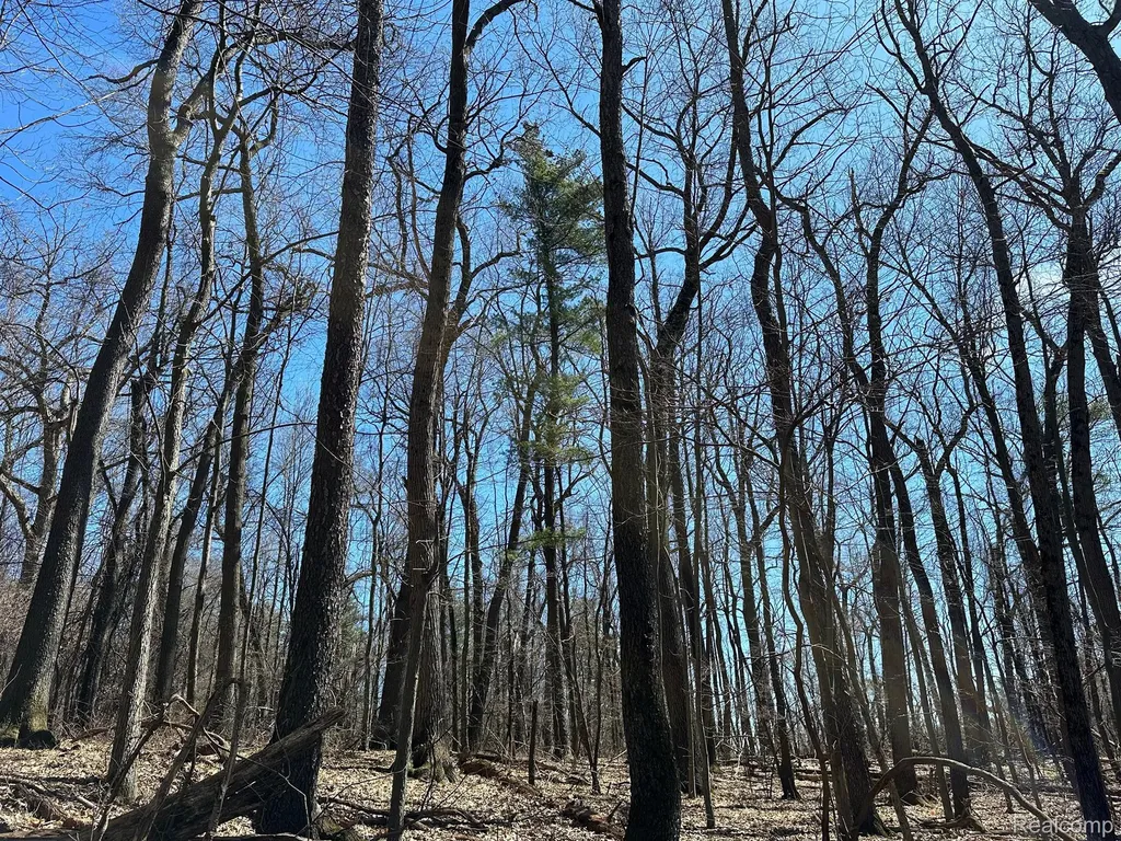 11.01 Acres Vacant Land Knights Bridge Road Addison Township MI 48367