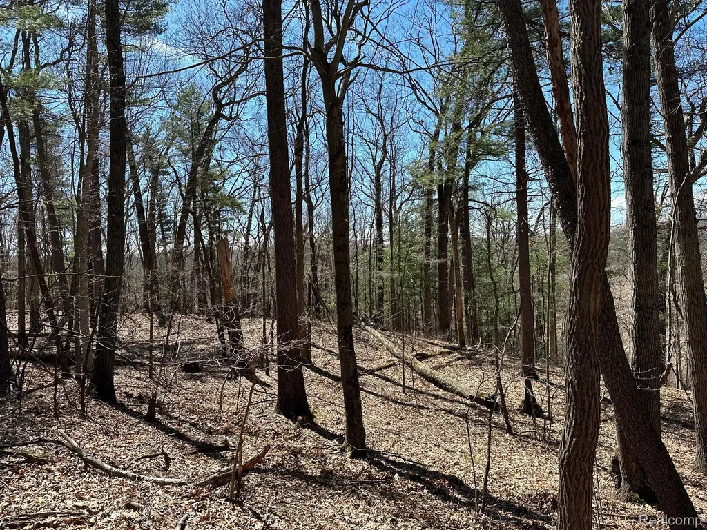 11.01 Acres Vacant Land Knights Bridge Road Addison Township MI 48367