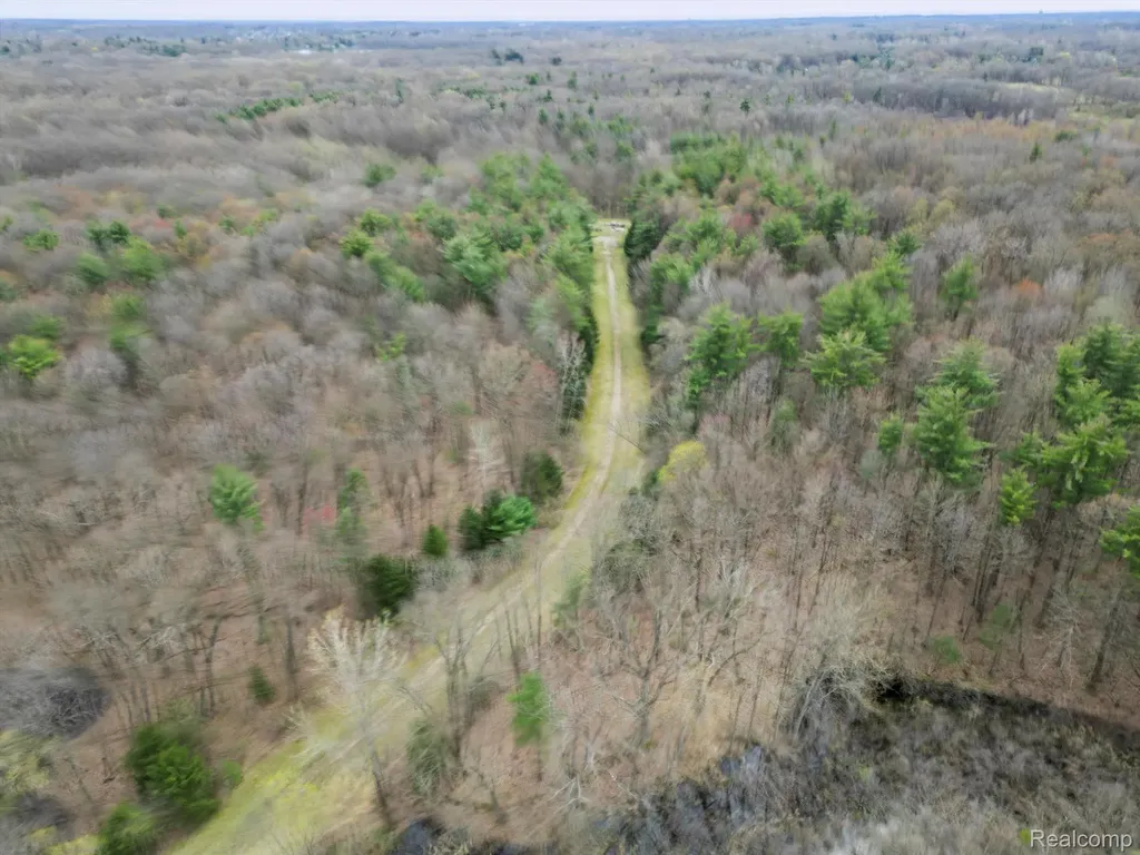 11.01 Acres Vacant Land Knights Bridge Road Addison Township MI 48367