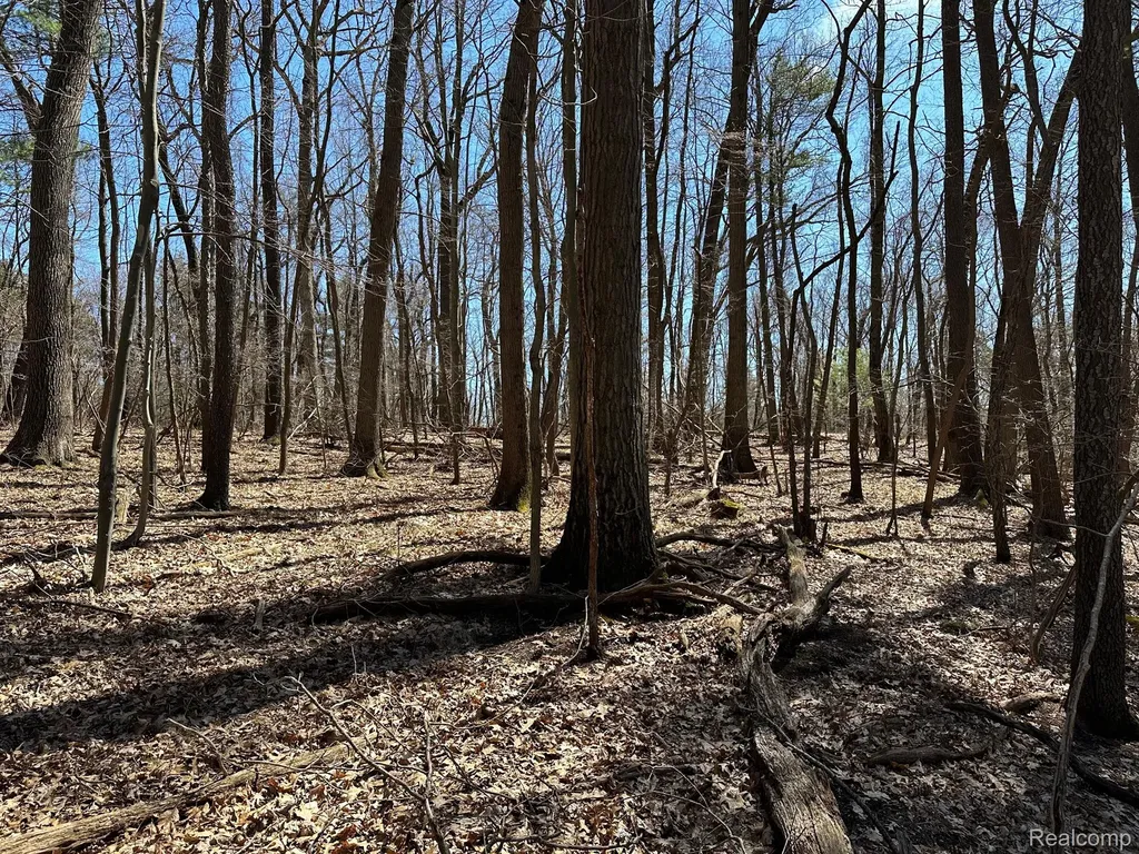 11.01 Acres Vacant Land Knights Bridge Road Addison Township MI 48367