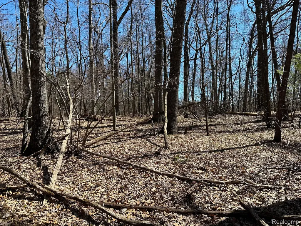11.01 Acres Vacant Land Knights Bridge Road Addison Township MI 48367