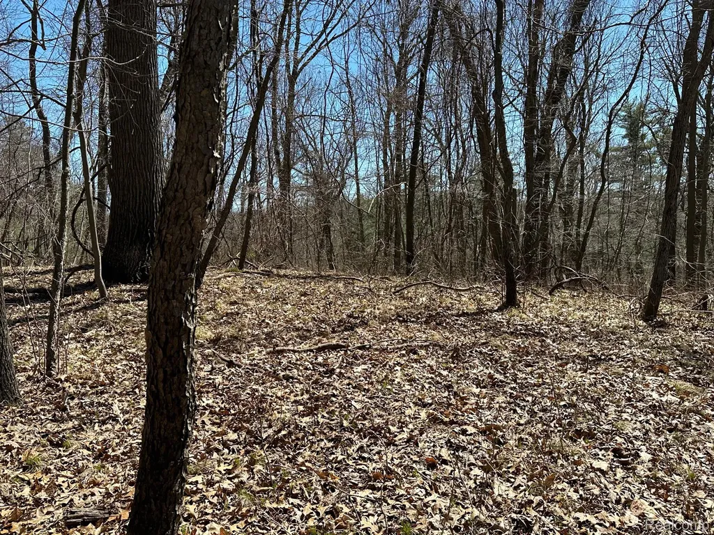 11.01 Acres Vacant Land Knights Bridge Road Addison Township MI 48367