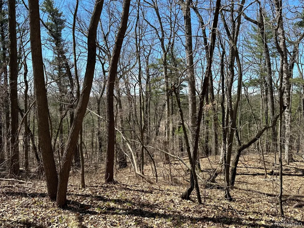 11.01 Acres Vacant Land Knights Bridge Road Addison Township MI 48367