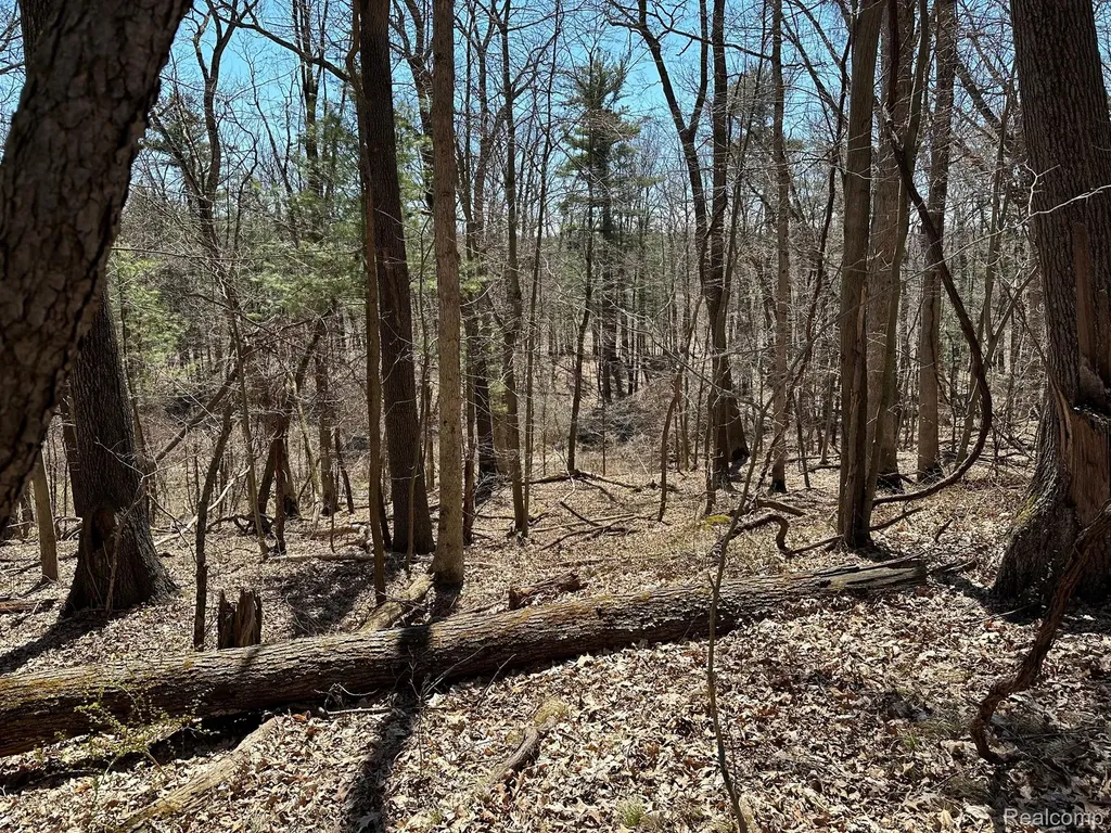 11.01 Acres Vacant Land Knights Bridge Road Addison Township MI 48367