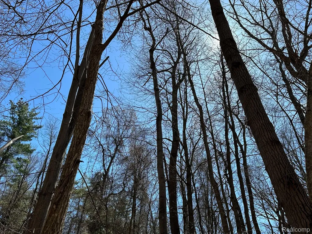 11.01 Acres Vacant Land Knights Bridge Road Addison Township MI 48367