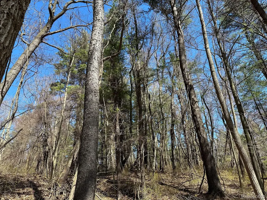 11.01 Acres Vacant Land Knights Bridge Road Addison Township MI 48367