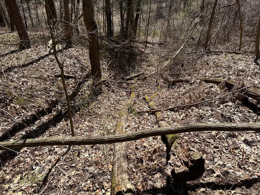 11.01 Acres Vacant Land Knights Bridge Road Addison Township MI 48367
