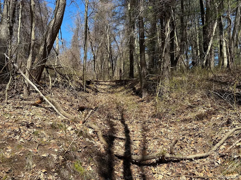 11.01 Acres Vacant Land Knights Bridge Road Addison Township MI 48367