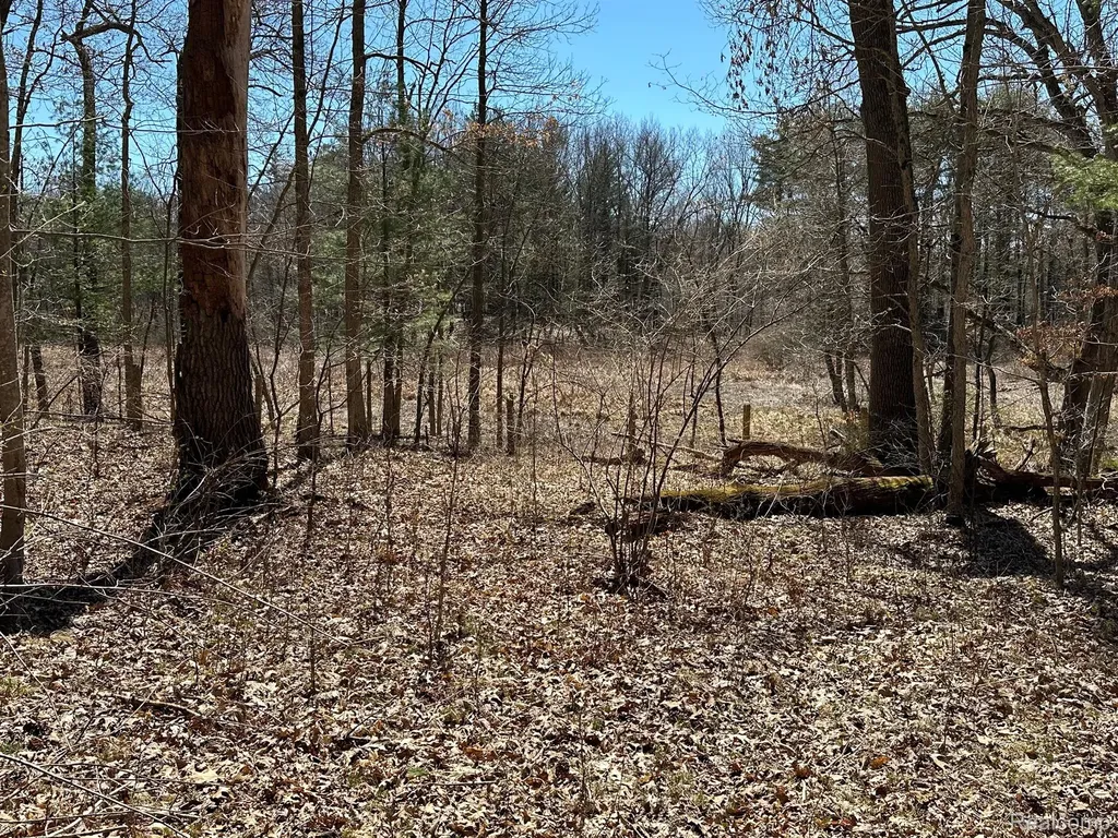 11.01 Acres Vacant Land Knights Bridge Road Addison Township MI 48367