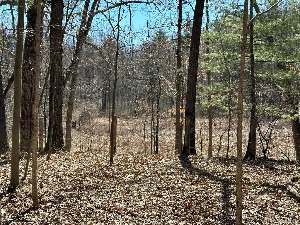 11.01 Acres Vacant Land Knights Bridge Road Addison Township MI 48367