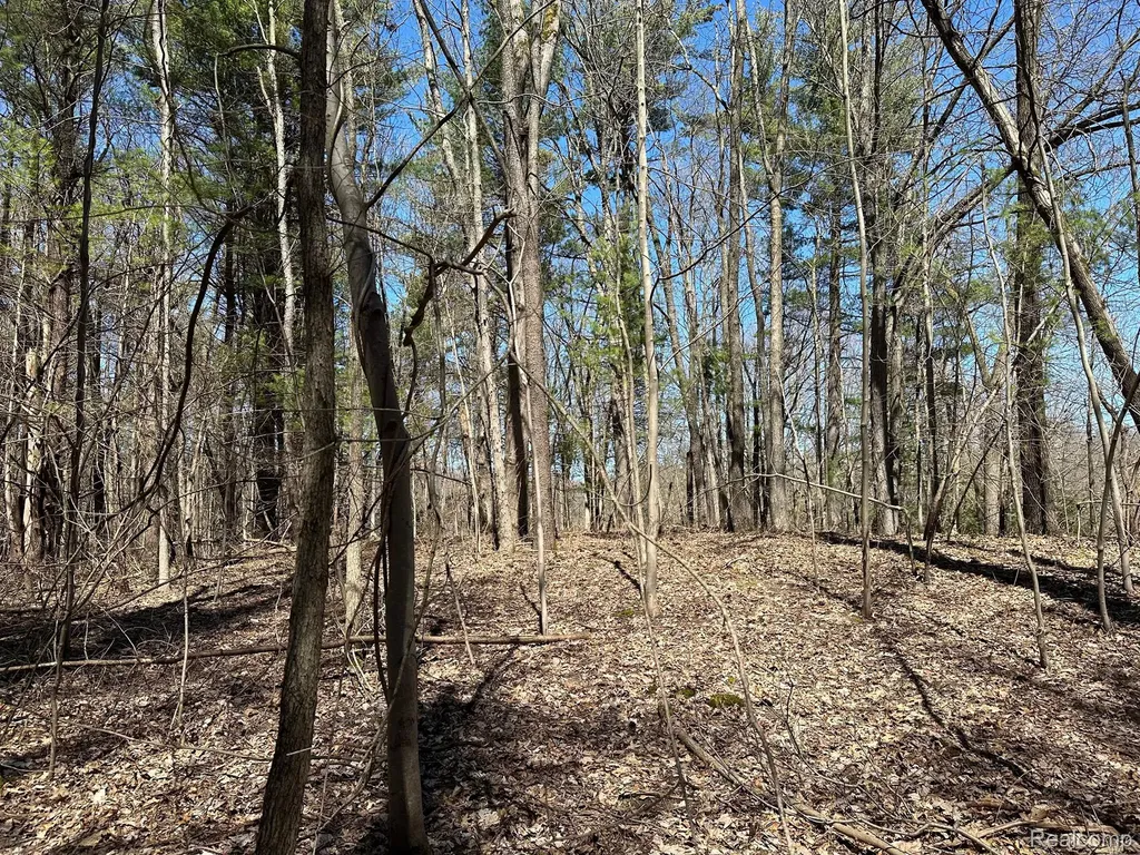 11.01 Acres Vacant Land Knights Bridge Road Addison Township MI 48367