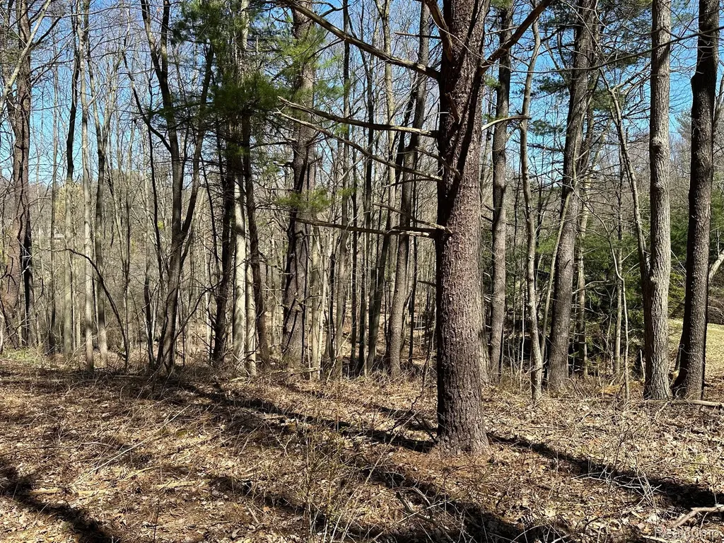 11.01 Acres Vacant Land Knights Bridge Road Addison Township MI 48367
