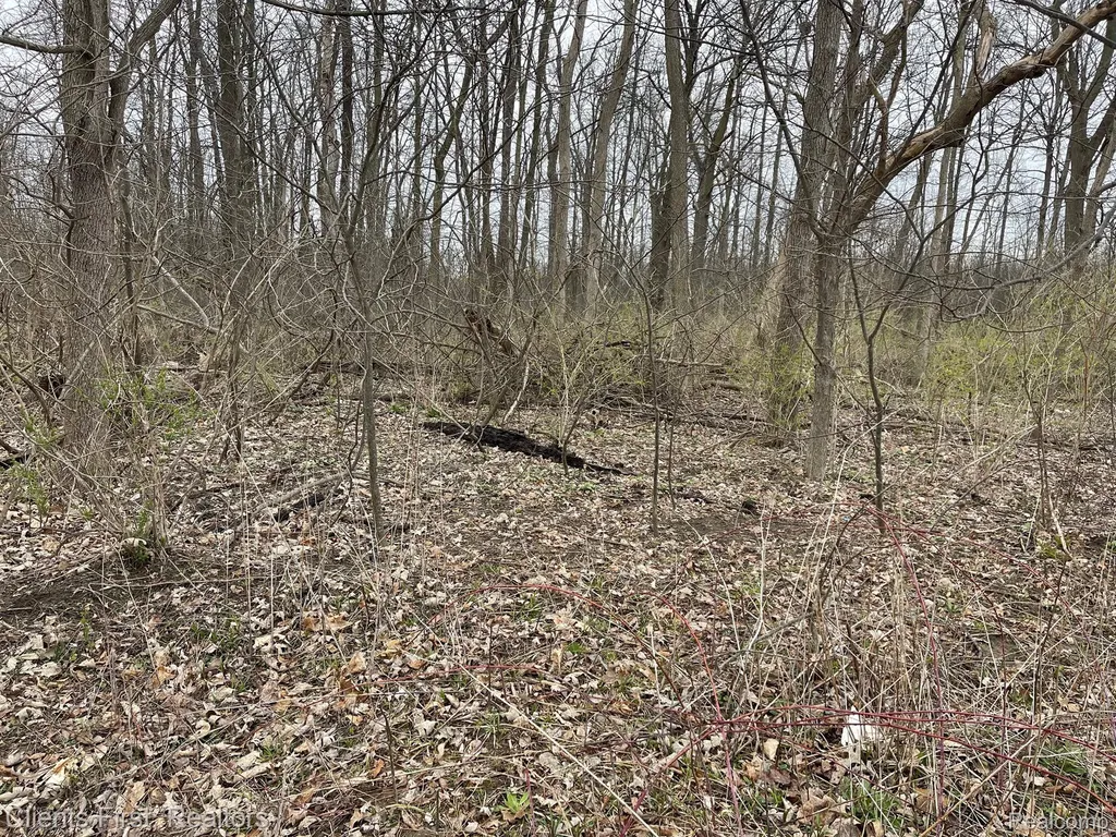 0 Ford Road Canton Charter Township MI 48187