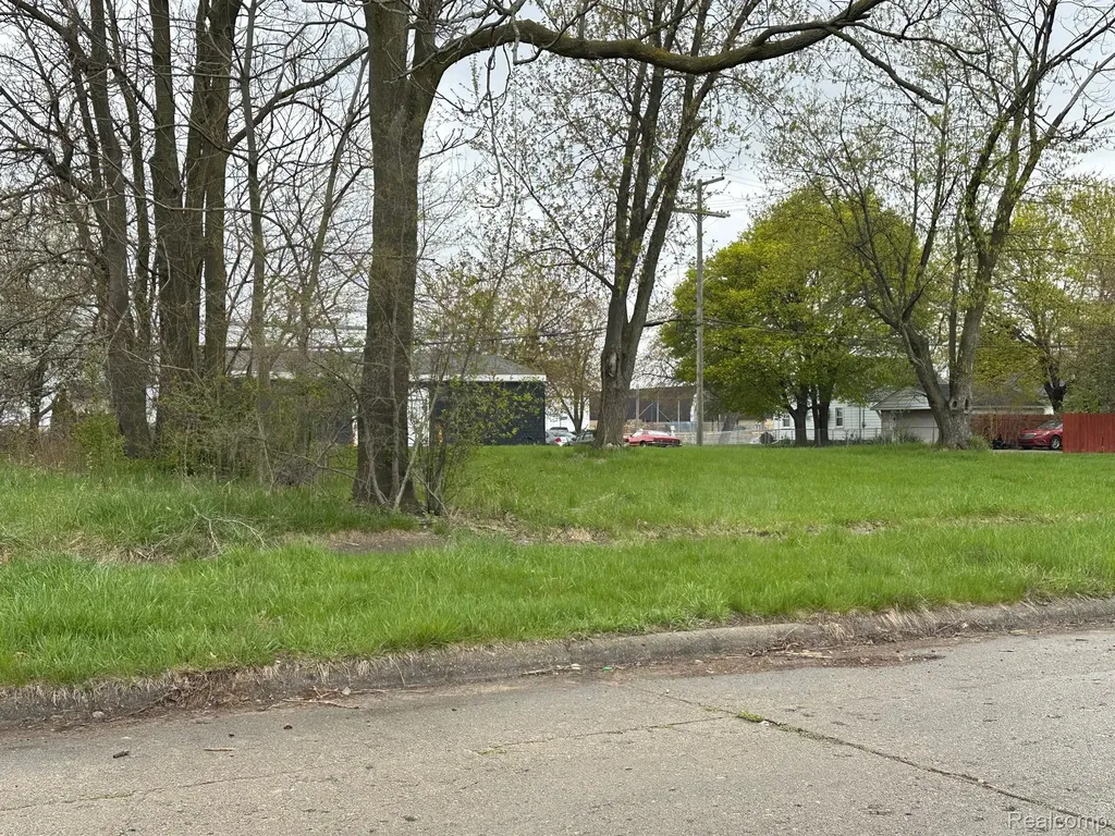 18699 Concord Street Detroit City MI 48234