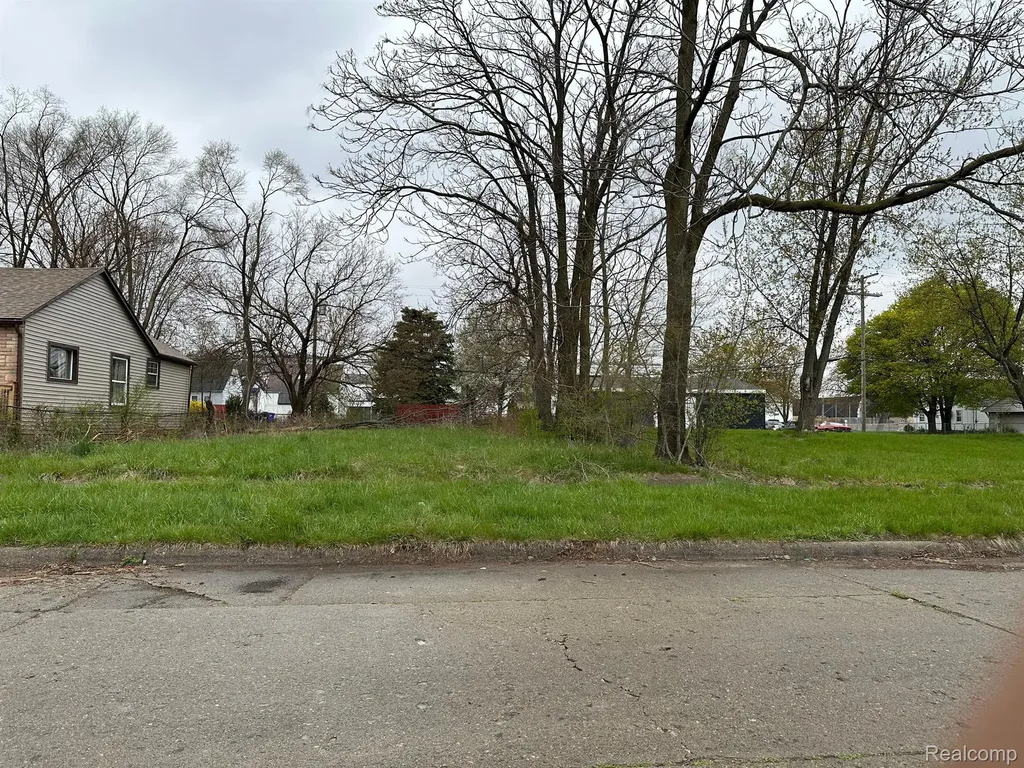 18699 Concord Street Detroit City MI 48234