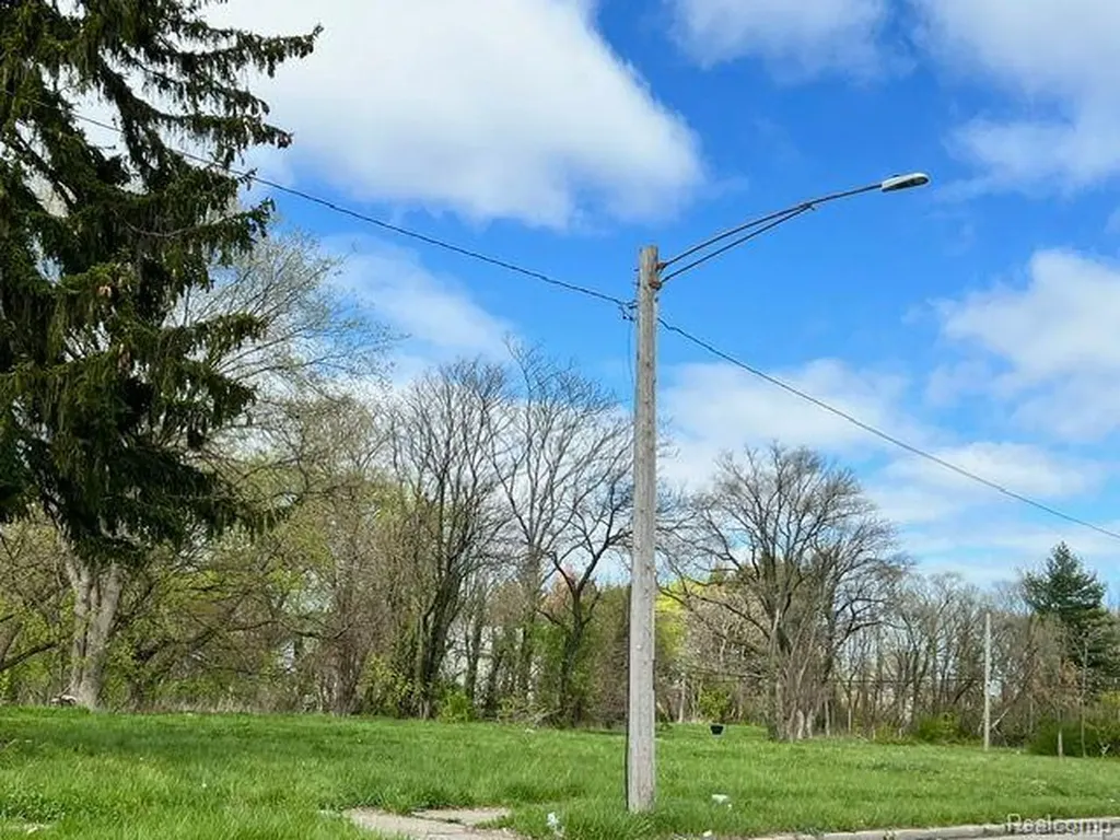 12326 Garnet Street Detroit City MI 48205