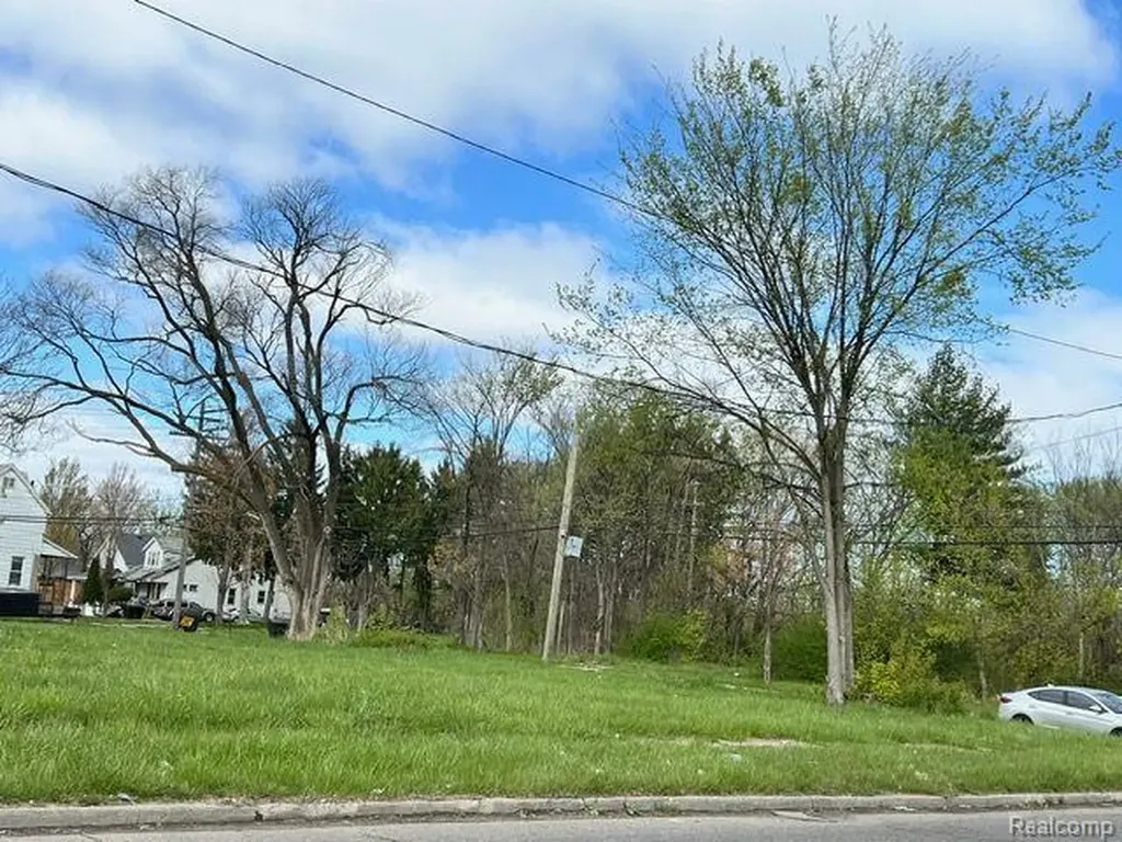 12326 Garnet Street Detroit City MI 48205