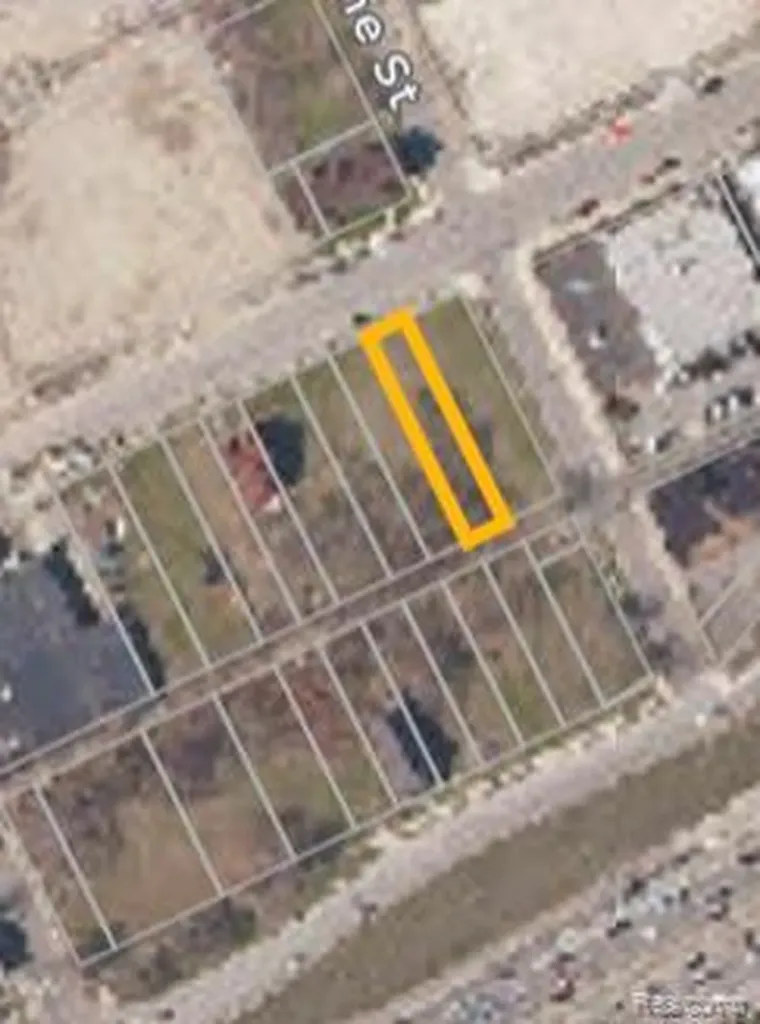 571 E Edsel Ford Freeway Detroit City MI 48202