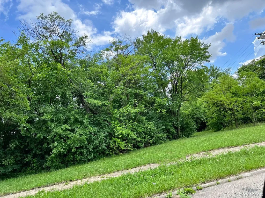 2417 W Edsel Ford Freeway Detroit City MI 48208