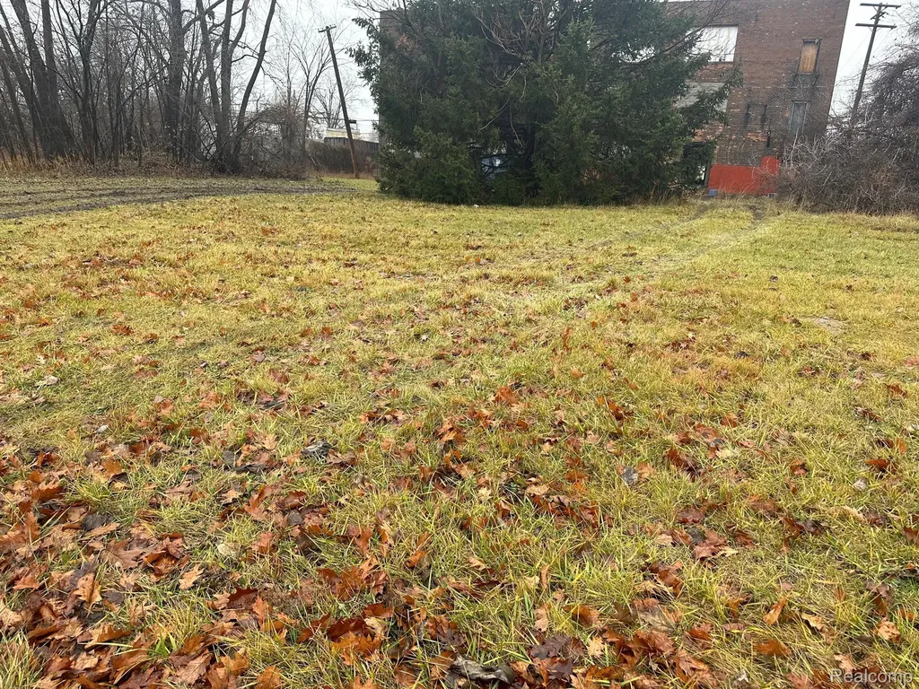 3173 Concord Street Detroit City MI 48207