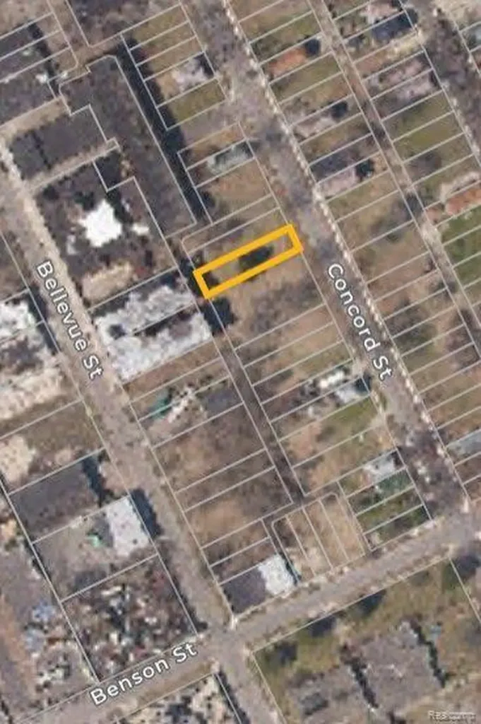 3173 Concord Street Detroit City MI 48207