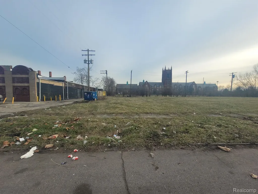 2629 Rochester Street Detroit City MI 48206
