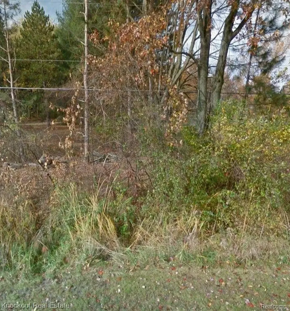 Vl S Gleaner Road Swan Creek Township MI 48609