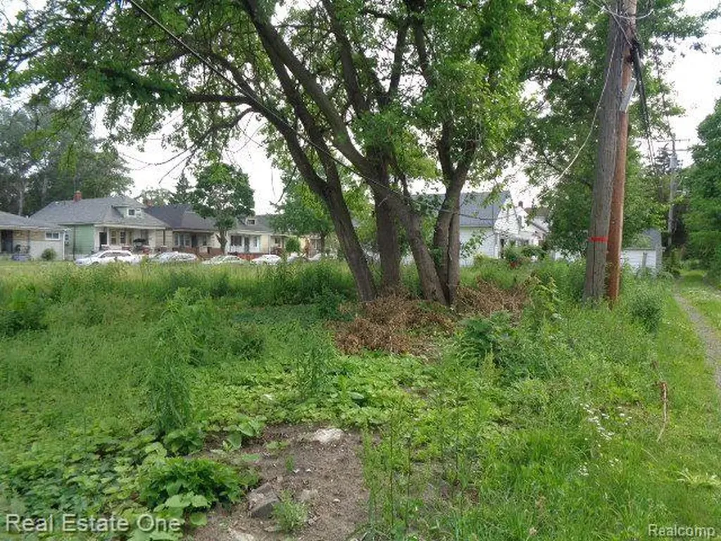 5201 Casmere Street Hamtramck City MI 48212
