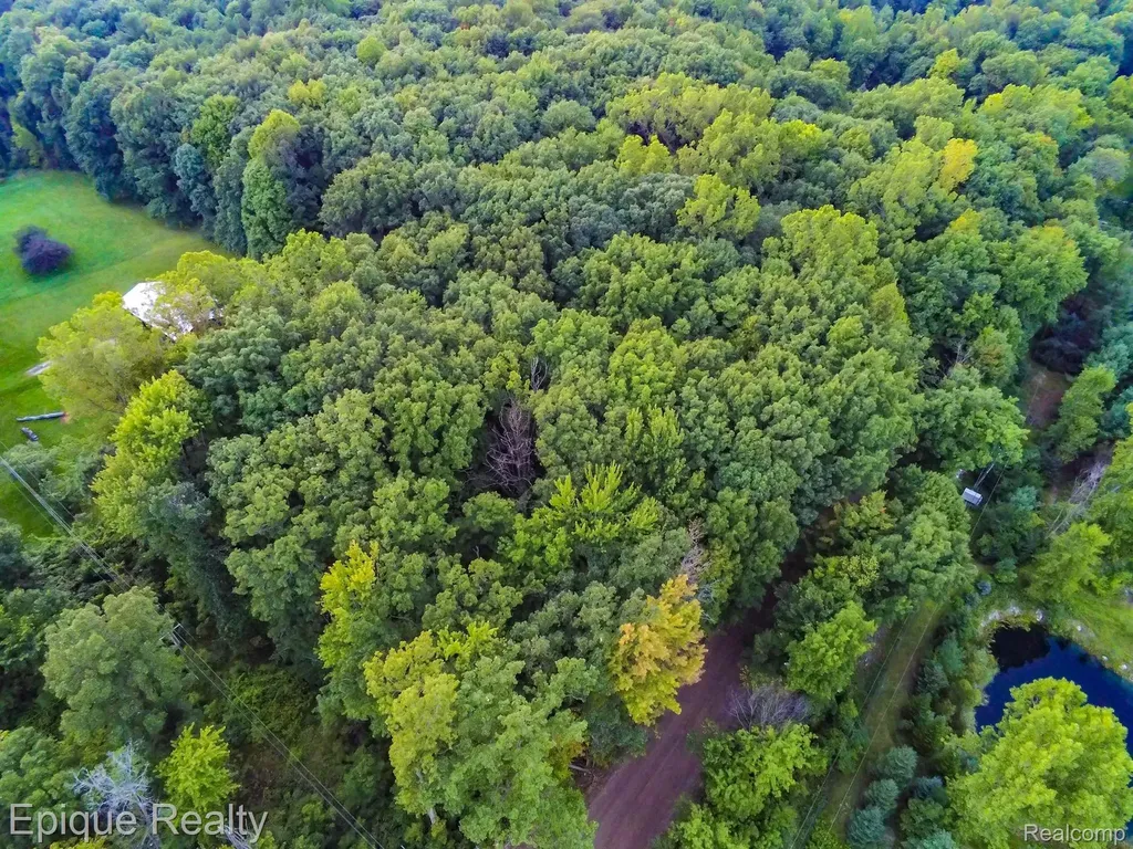00TBD Hagerman Road Addison Township MI 48367