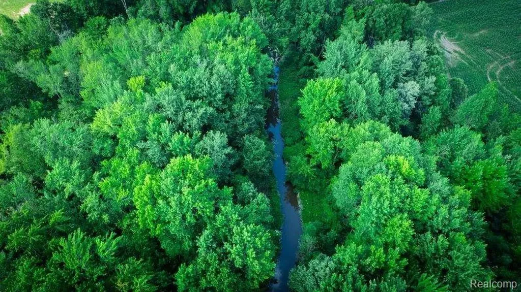 0 Kinney Road Riley Township MI 48041