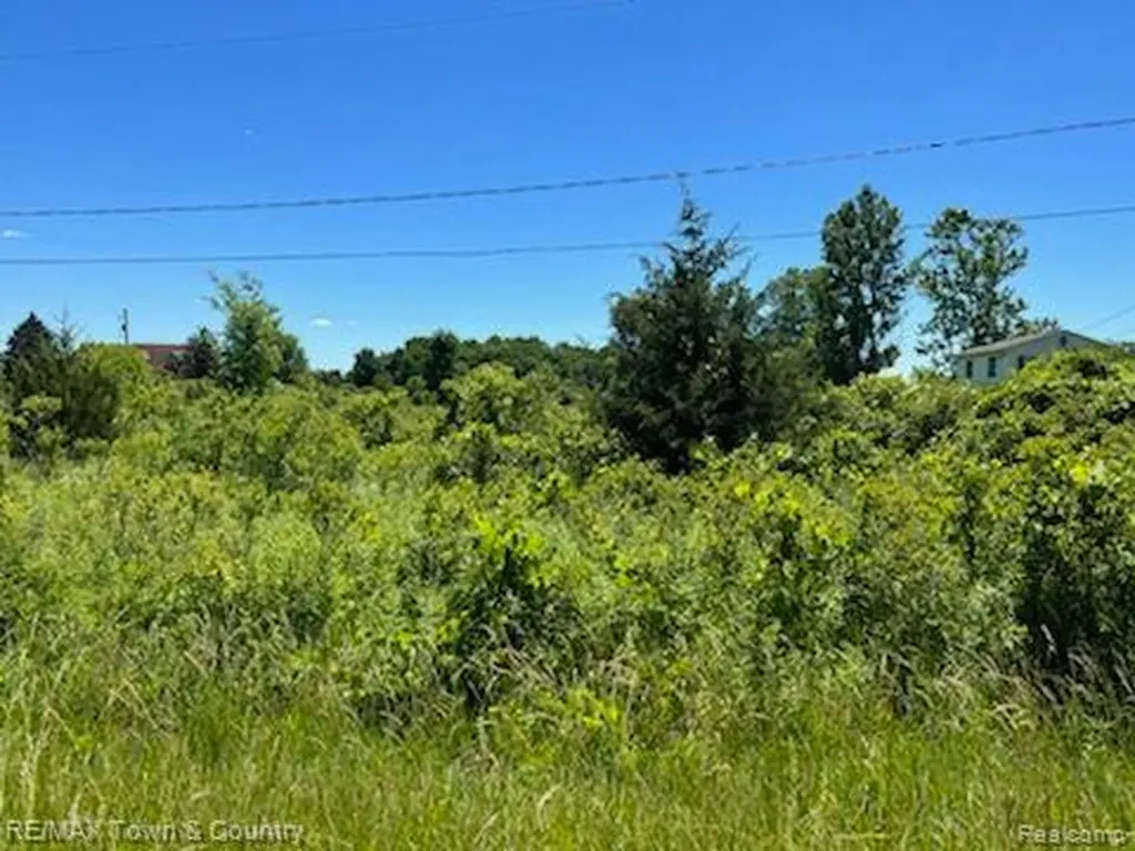 0 E Wilson Road Thetford Township MI 48420