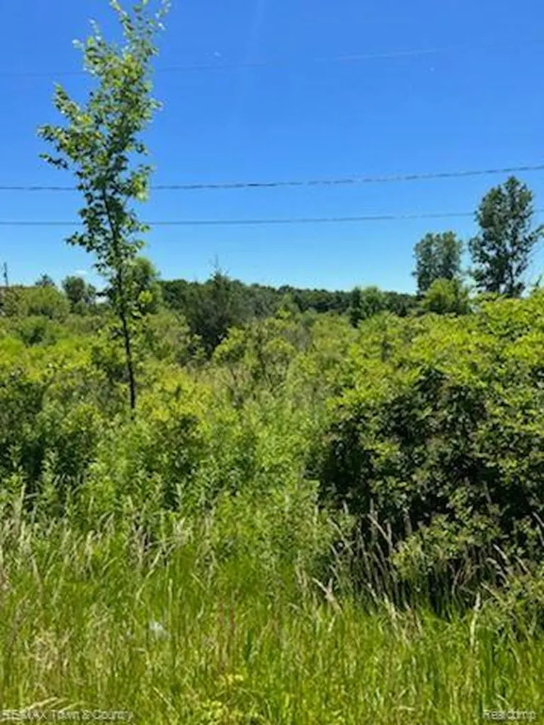0 E Wilson Road Thetford Township MI 48420