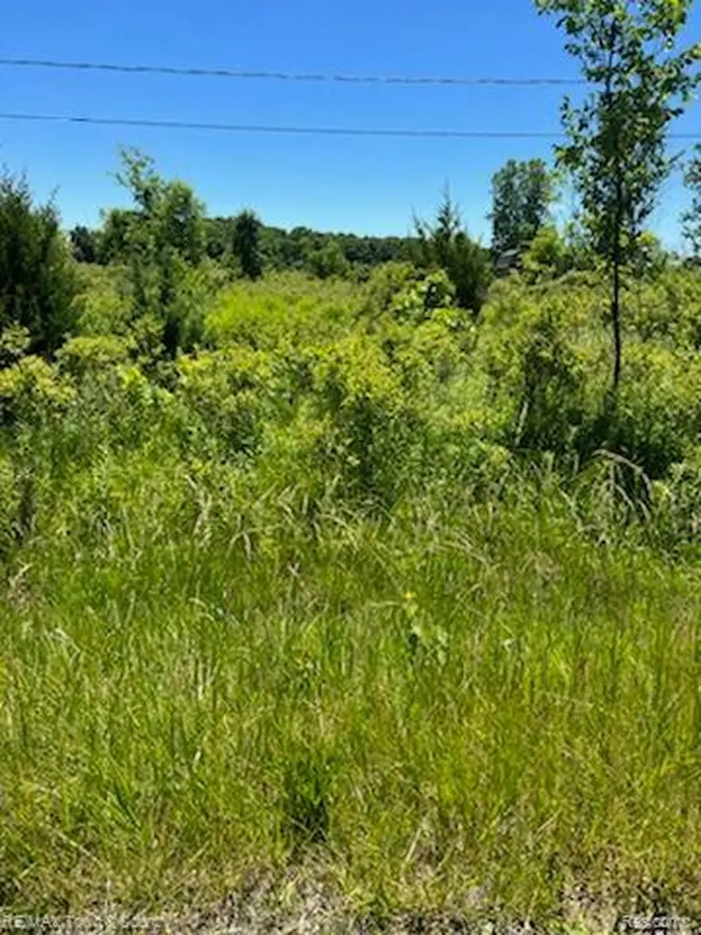 0 E Wilson Road Thetford Township MI 48420