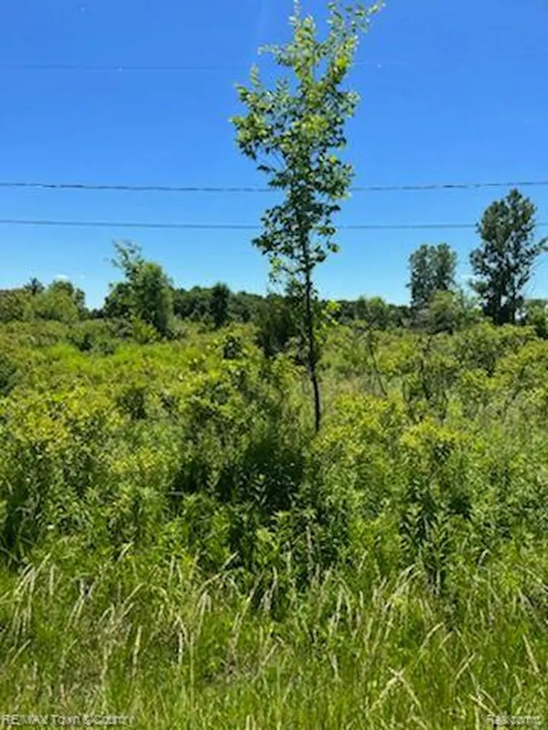 0 E Wilson Road Thetford Township MI 48420