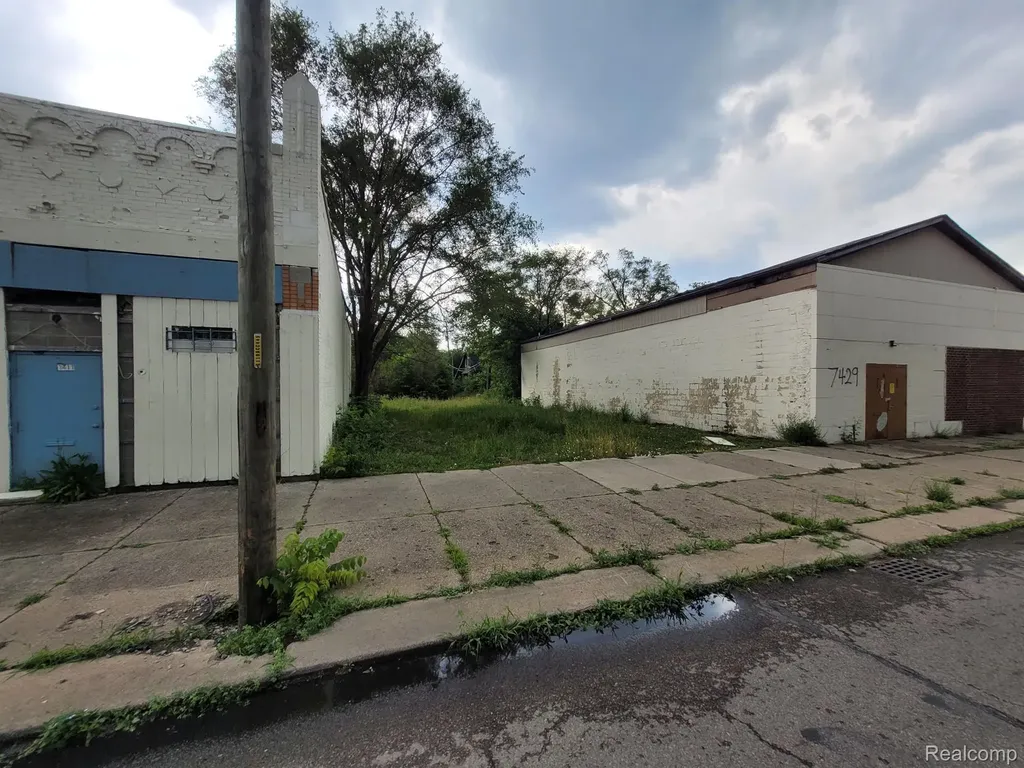 7419 Puritan Street Detroit City MI 48238