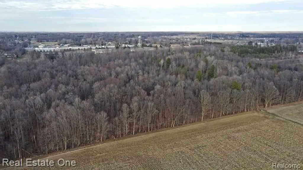 0 W Vienna Clio City MI 48420