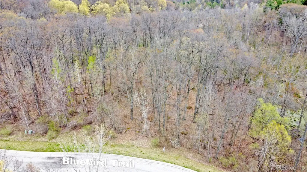 207 Astor Knolls Drive Groveland Township MI 48462