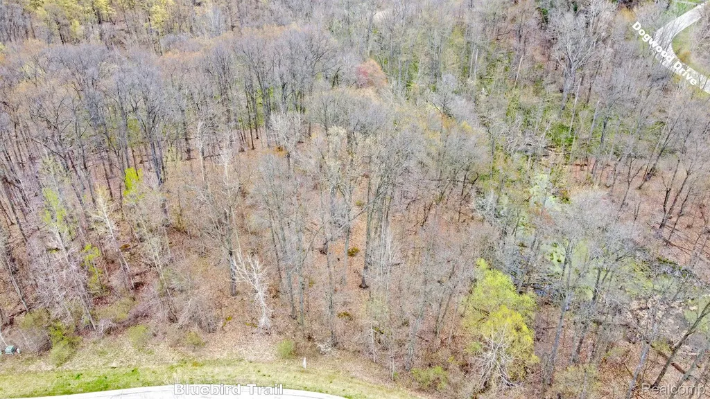 207 Astor Knolls Drive Groveland Township MI 48462