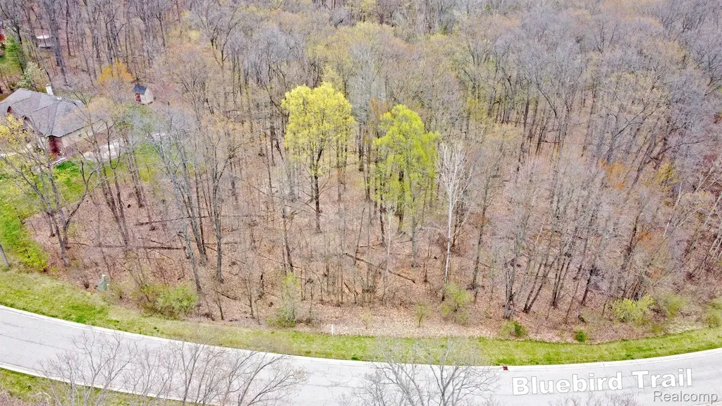 207 Astor Knolls Drive Groveland Township MI 48462