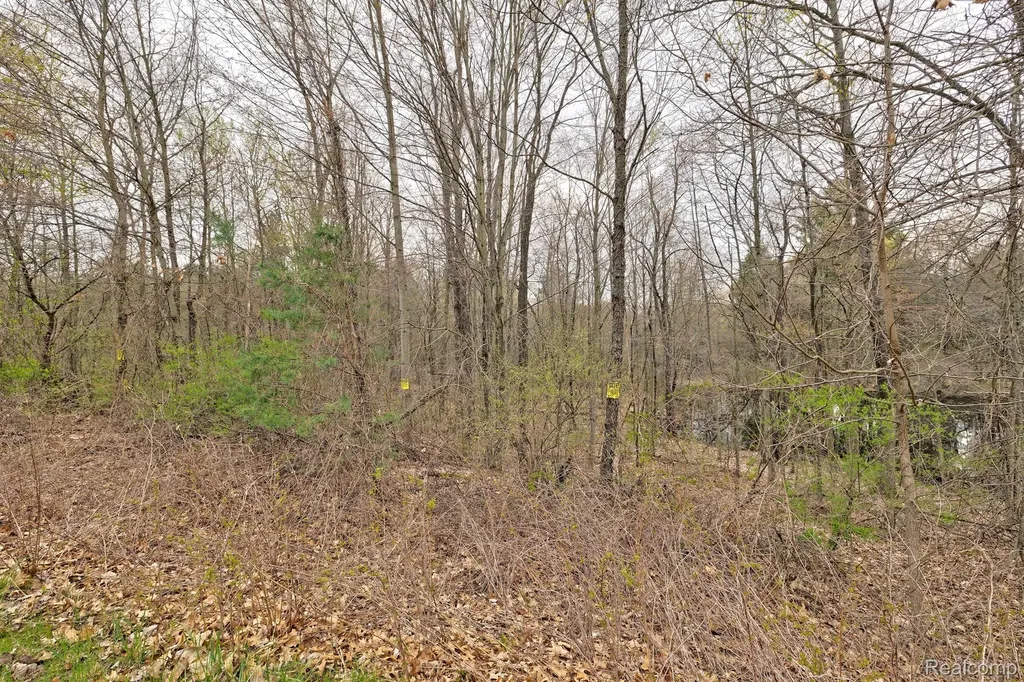 207 Astor Knolls Drive Groveland Township MI 48462